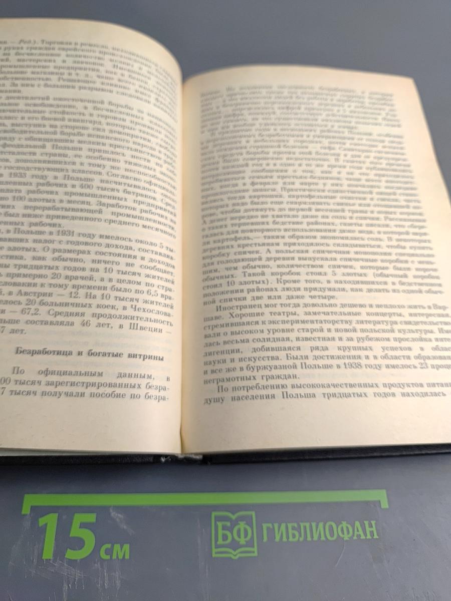 В Бурях Нашего Века. Записки разведчика-антифашиста