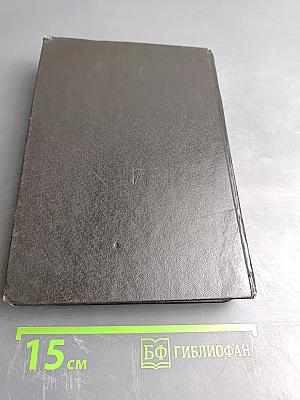 В Бурях Нашего Века. Записки разведчика-антифашиста