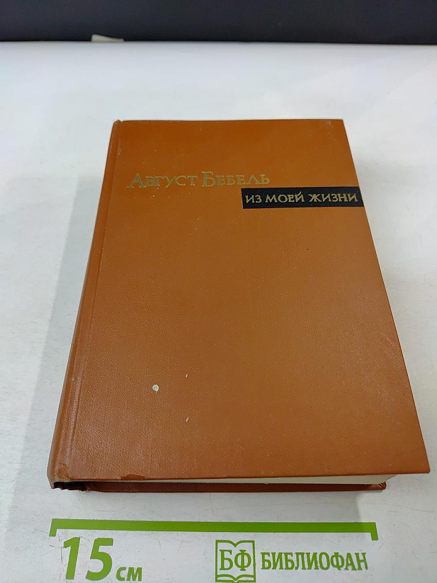 Август Бебель. Из моей жизни