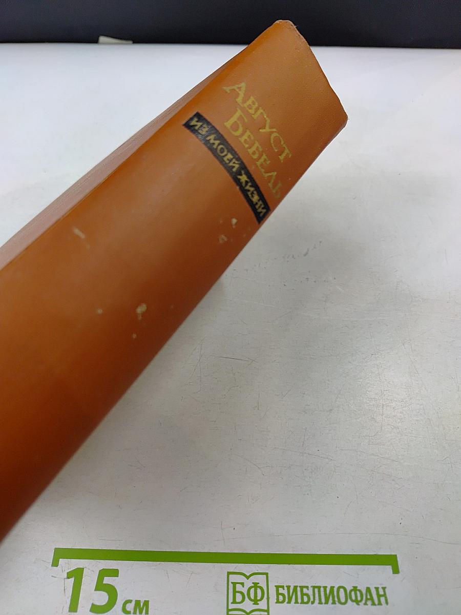 Август Бебель. Из моей жизни