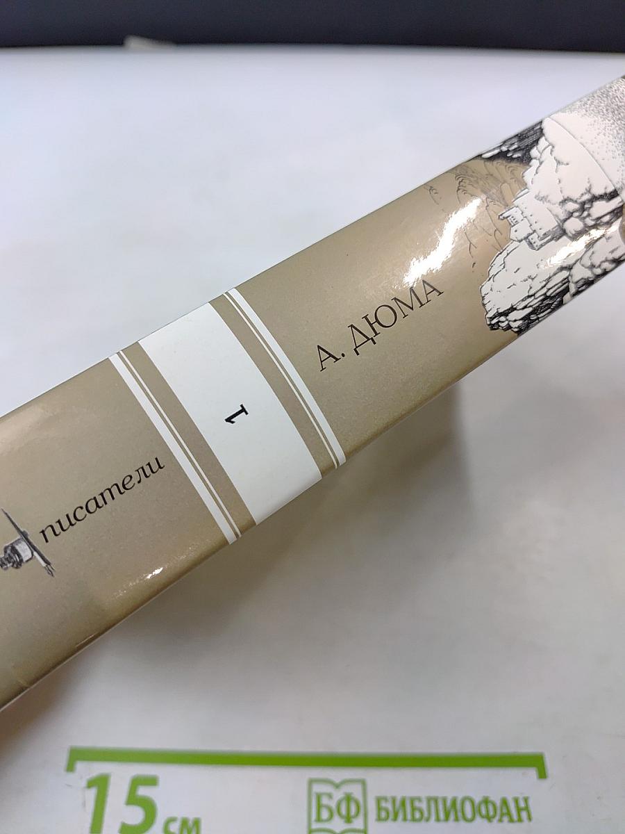 Граф Монте-Кристо. Том I