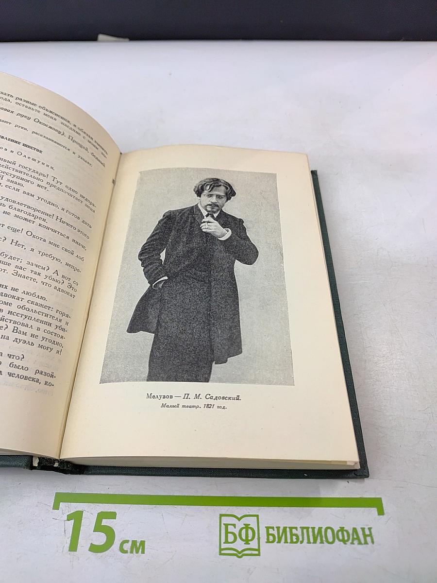 Полное собрание сочинений. Том IX. Пьесы 1882-1883