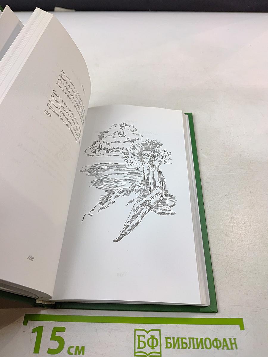 Дневный сон. Лирические стихотворения, баллады и избранные поэмы