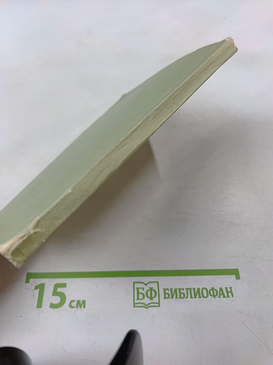 В то лето и в эту зиму