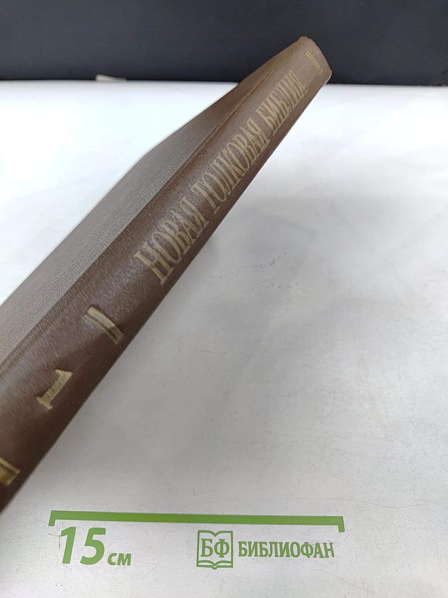 Новая толковая Библия, Том 1