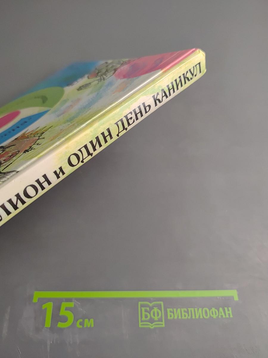 Миллион и один день каникул