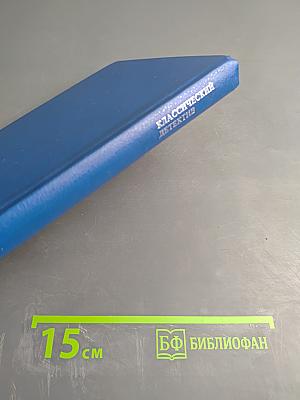 Детектив Супер: Дело любопытной новобрачной. Некоторые рубашки не просвечивают