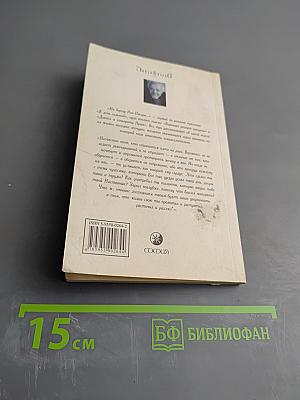 На берегу Рио-Пьедра села я и заплакала