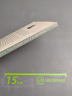 На берегу Рио-Пьедра села я и заплакала