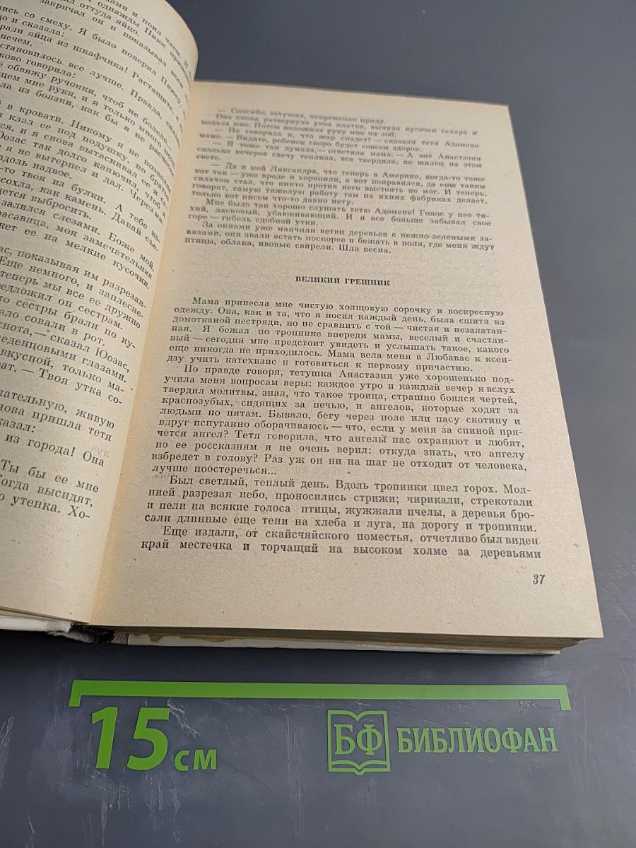 Весенняя река. В поисках молодости