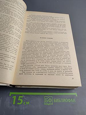 Весенняя река. В поисках молодости