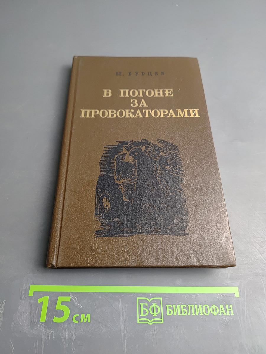 В погоне за провокаторами