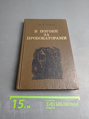 В погоне за провокаторами