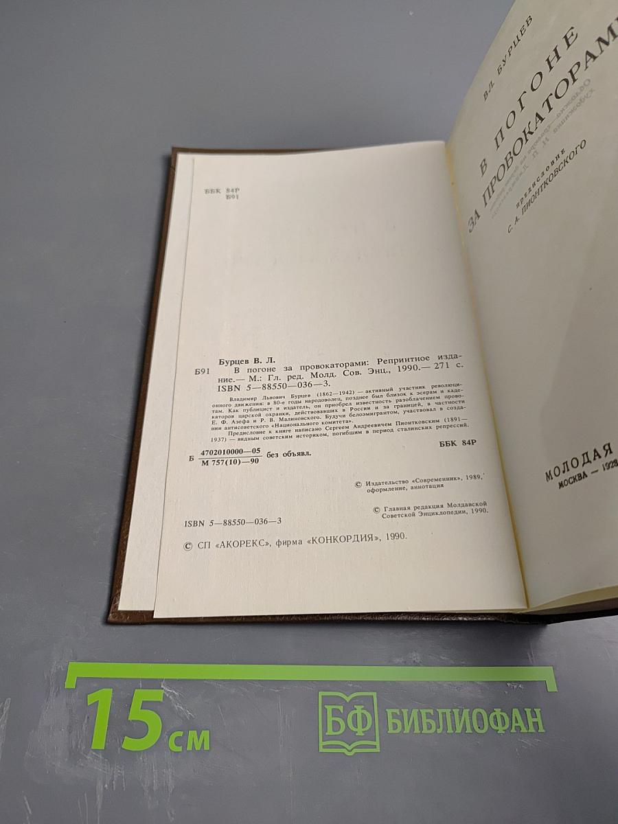 В погоне за провокаторами