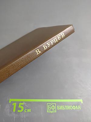 В погоне за провокаторами