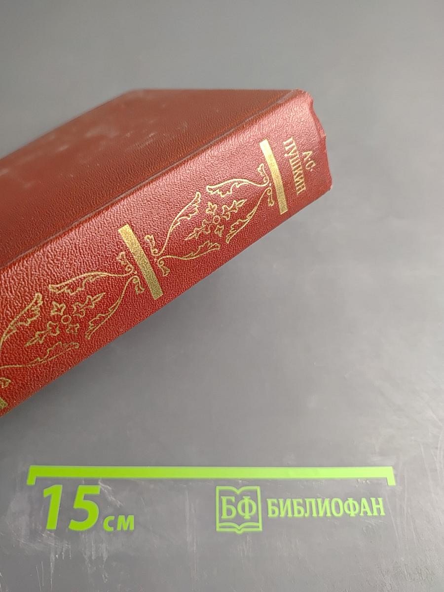 Собрание сочинений. Том 5: Романы, Повести