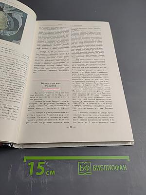 Хрен да редька, лук да капуста...