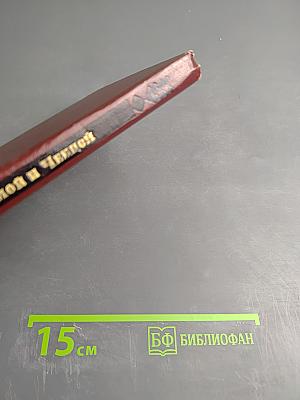 Между Камой и Чепцой