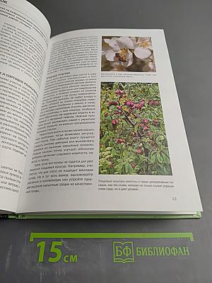 Фруктовый сад