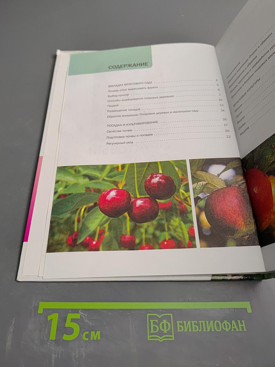 Фруктовый сад