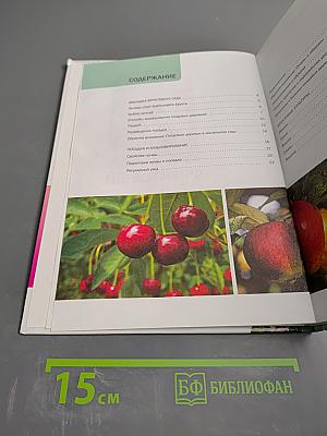 Фруктовый сад