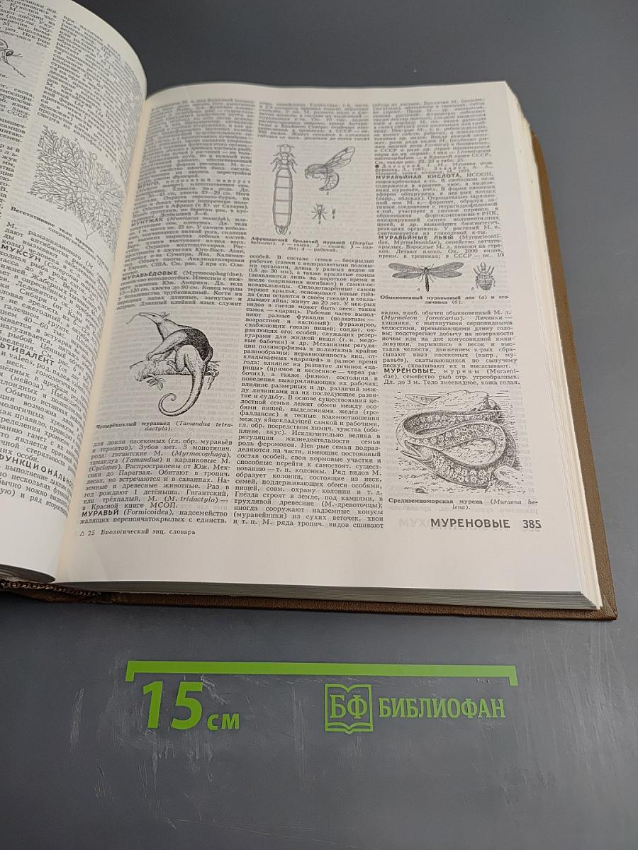 Биологический энциклопедический словарь