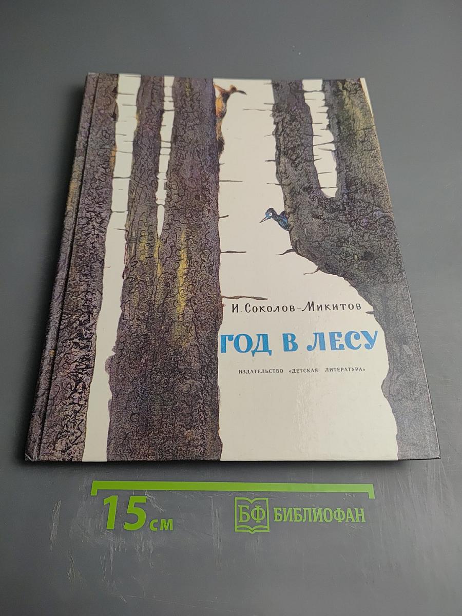 Год в лесу