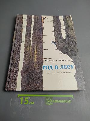 Год в лесу