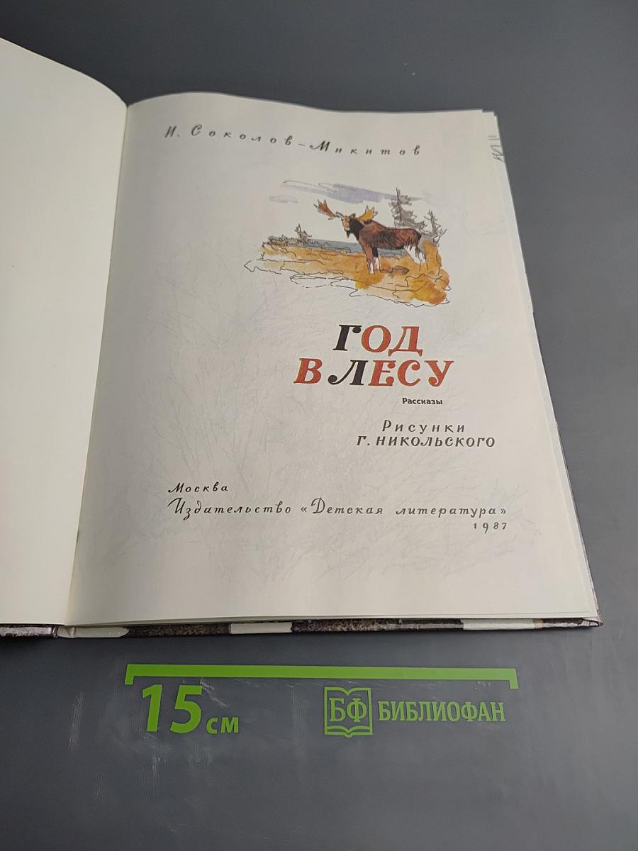 Год в лесу