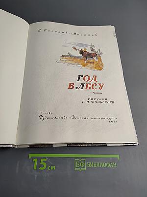 Год в лесу
