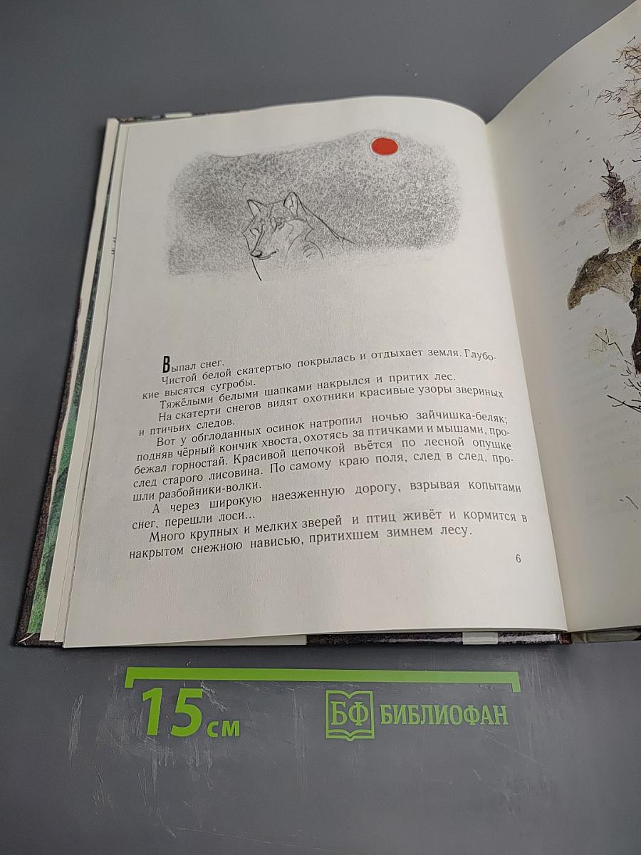 Год в лесу