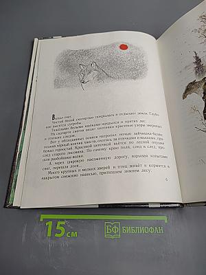 Год в лесу