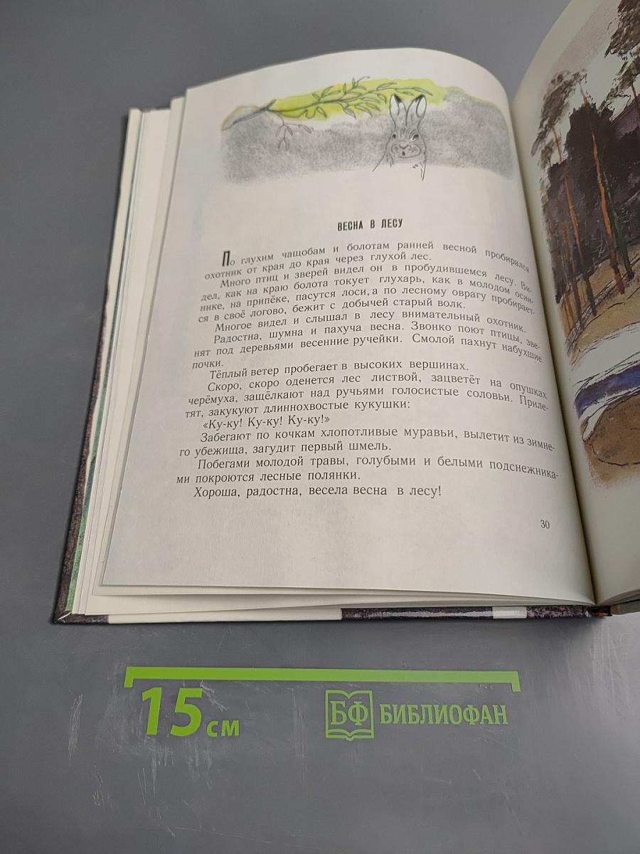 Год в лесу