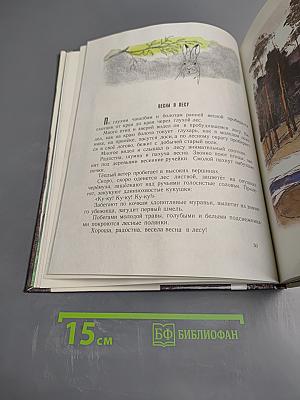 Год в лесу