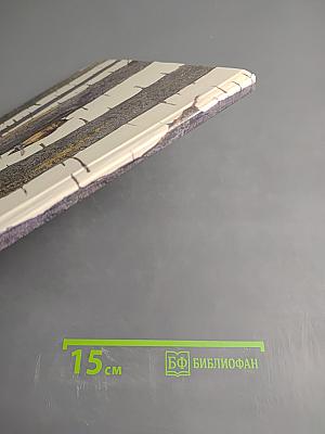 Год в лесу