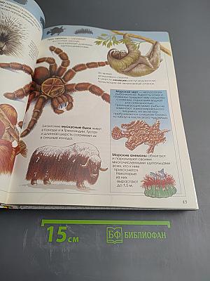 Большая детская энциклопедия