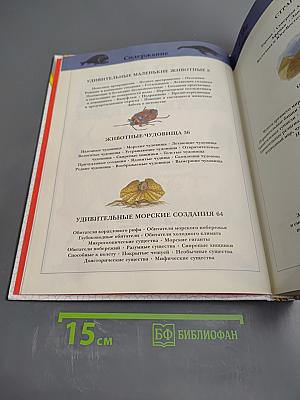 Большая детская энциклопедия