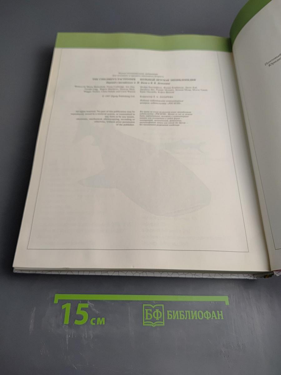 Большая детская энциклопедия