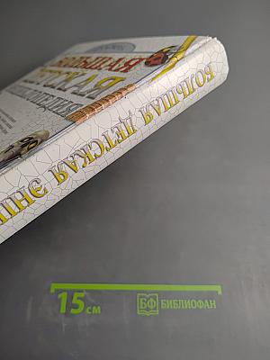 Большая детская энциклопедия