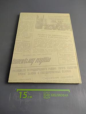 Настоящая минута прошедшего времени. Петергоф: Город и люди