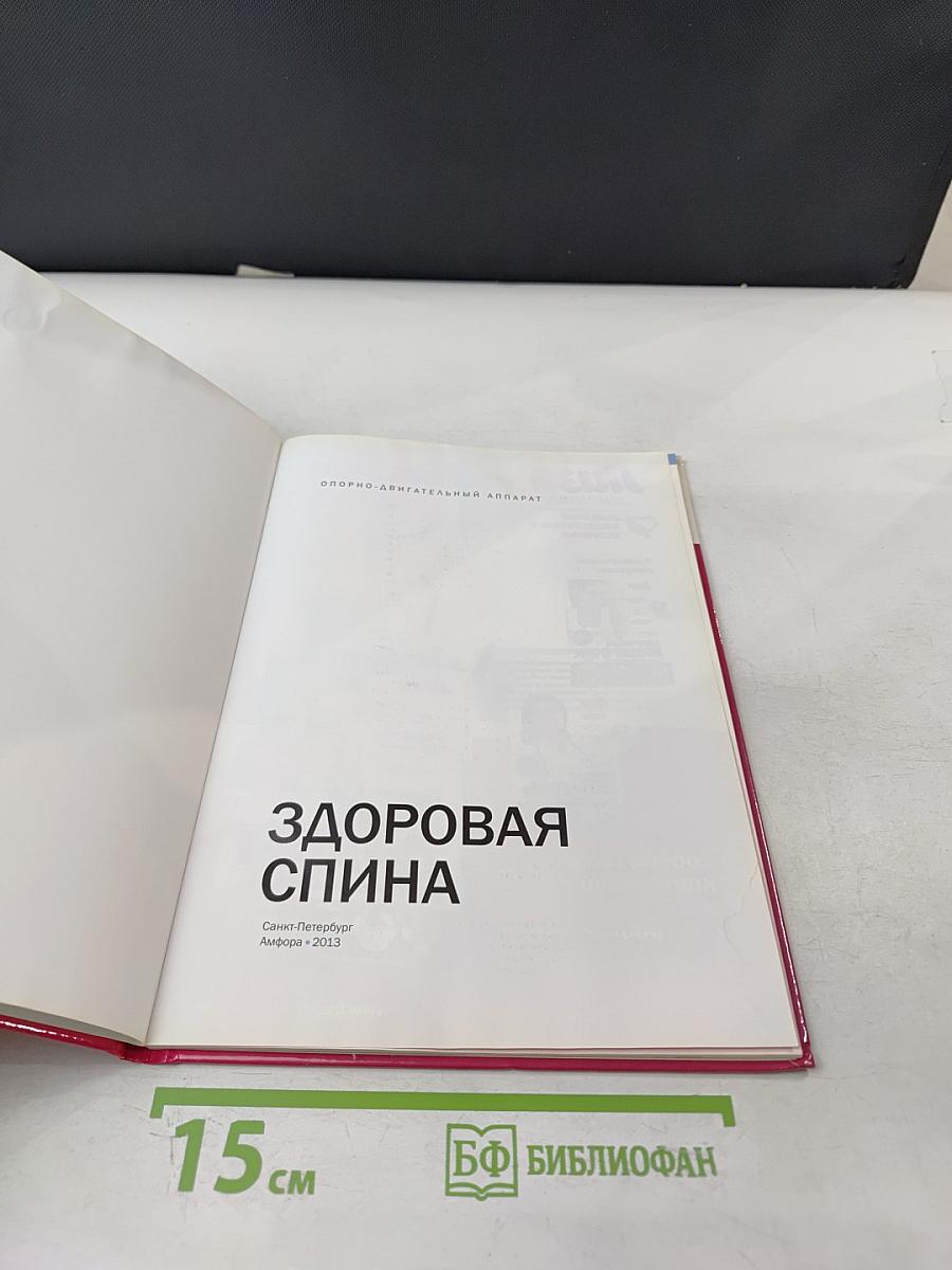 Здоровая спина. Опорно-двигательный аппарат