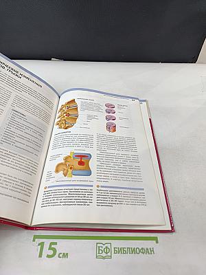 Здоровая спина. Опорно-двигательный аппарат