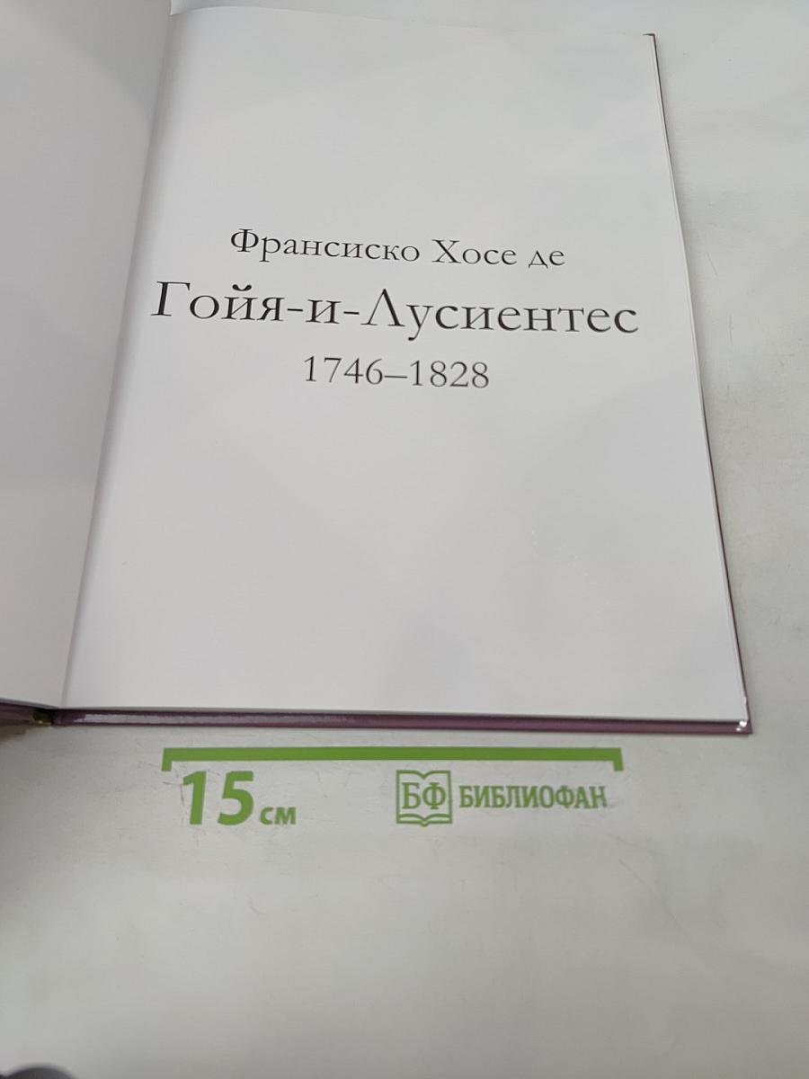Гойя (Франсиско Хосе де Гойя-и-Лусиентес) Том 24
