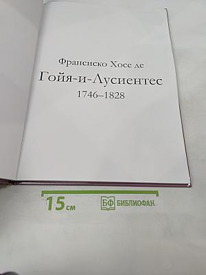 Гойя (Франсиско Хосе де Гойя-и-Лусиентес) Том 24