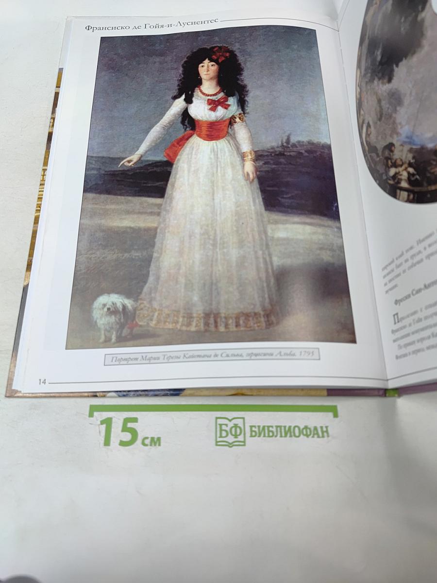 Гойя (Франсиско Хосе де Гойя-и-Лусиентес) Том 24