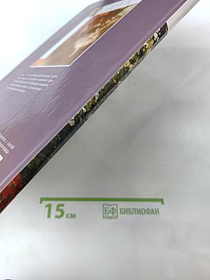 Гойя (Франсиско Хосе де Гойя-и-Лусиентес) Том 24