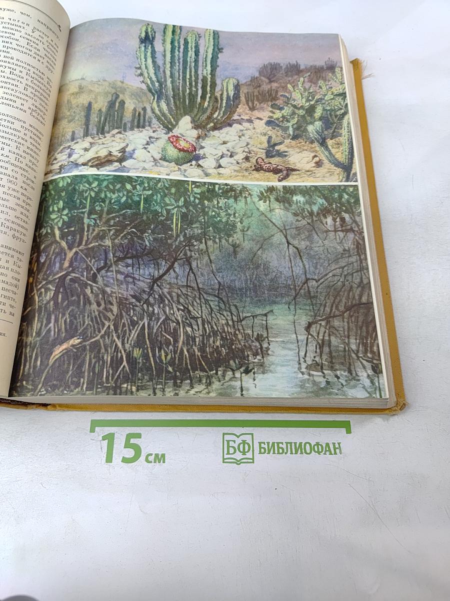 Детская Энциклопедия. Том 4. Растения и животные