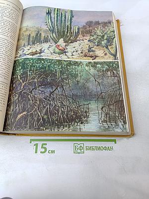 Детская Энциклопедия. Том 4. Растения и животные