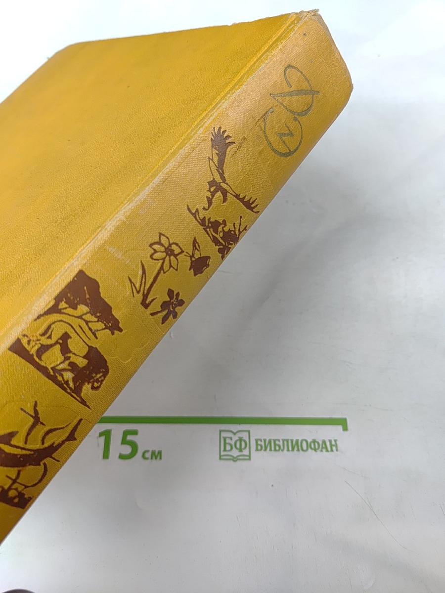 Детская Энциклопедия. Том 4. Растения и животные