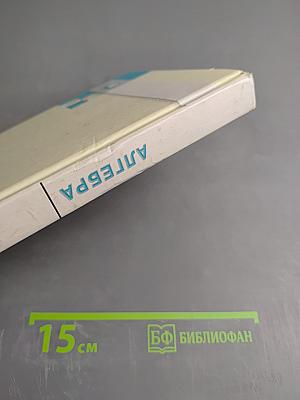 Алгебра 8 класс